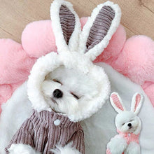 Load image into Gallery viewer, Cute cat/dog coat in rabbit style 🐶🐰🐇😻 - PupiPlace