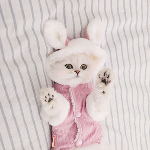 Cute cat/dog coat in rabbit style 🐶🐰🐇😻 - PupiPlace