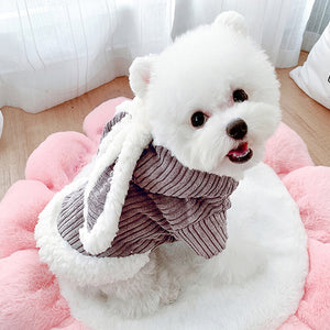 Cute cat/dog coat in rabbit style 🐶🐰🐇😻 - PupiPlace