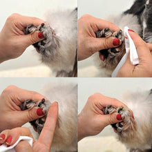 Carica l&#39;immagine nel visualizzatore di Gallery, Pets styptic powder for dogs and cats 🐶🐱🩸🩹🚑 - PupiPlace