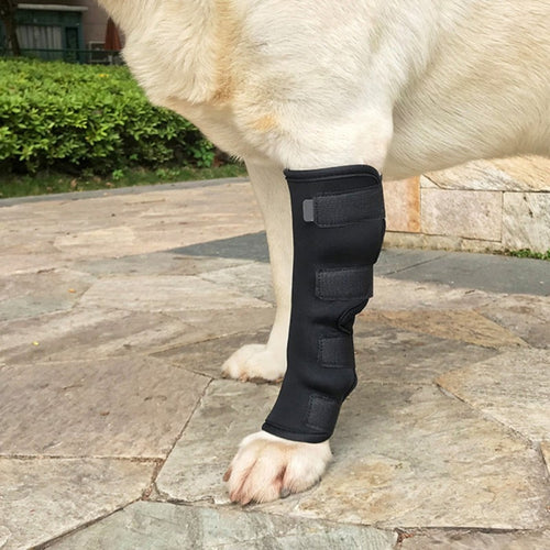 brace for dog leg