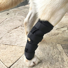 Carica l&#39;immagine nel visualizzatore di Gallery, Protector brace for dog leg injury 🐶🐾🐕🐕‍🦺🚑 - PupiPlace
