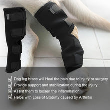Cargar imagen en el visor de la galería, Protector brace for dog leg injury 🐶🐾🐕🐕‍🦺🚑 - PupiPlace