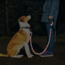Carica l&#39;immagine nel visualizzatore di Gallery, 1.5 M Heavy-Duty dog leash for strong dogs 😎🦾⚒⛓🐕🐕‍🦺 - PupiPlace