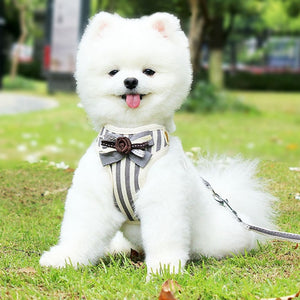 Classy puppy/cat harness with leash, bow tie and bell 😻🐶🐾🦺🎀 - PupiPlace