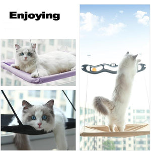 Outstanding magic cat hammock 😻🏡🐱🐈 - PupiPlace