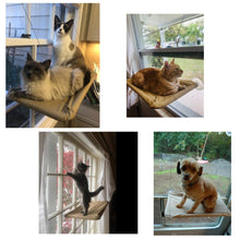 Carica l&#39;immagine nel visualizzatore di Gallery, Outstanding magic cat hammock 😻🏡🐱🐈 - PupiPlace