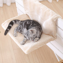 将图片加载到图库查看器，hammock for cat