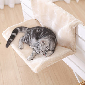 hammock for cat