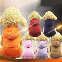 Cargar imagen en el visor de la galería, Fashion warm dog hoodies 🐶🐾🐕🧸🤩 - PupiPlace
