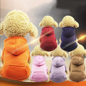Fashion warm dog hoodies 🐶🐾🐕🧸🤩 - PupiPlace