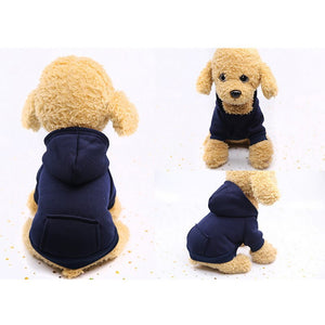 Fashion warm dog hoodies 🐶🐾🐕🧸🤩 - PupiPlace