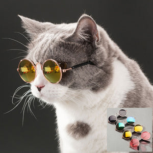 Classy dog/cat sunglasses in round shape 🤩😎😻 - PupiPlace