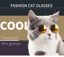 将图片加载到图库查看器，cat sunglasses