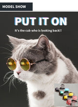 Cargar imagen en el visor de la galería, Classy dog/cat sunglasses in round shape 🤩😎😻 - PupiPlace
