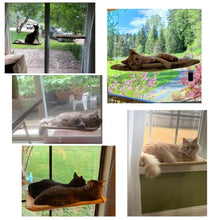 将图片加载到图库查看器，Outstanding magic cat hammock 😻🏡🐱🐈 - PupiPlace