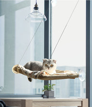 将图片加载到图库查看器，cat hammock