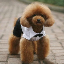 Cargar imagen en el visor de la galería, Cute wedding suit dog tuxedo 😍🐶🐾🐕‍🦺🤵‍♂️ - PupiPlace