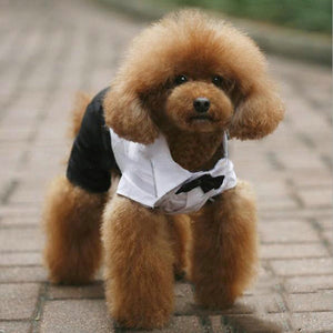 Cute wedding suit dog tuxedo 😍🐶🐾🐕‍🦺🤵‍♂️ - PupiPlace