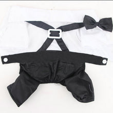 Load image into Gallery viewer, Cute wedding suit dog tuxedo 😍🐶🐾🐕‍🦺🤵‍♂️ - PupiPlace