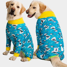 将图片加载到图库查看器，Four-legged cartoon printed dog pajamas 🌚🐕🐕‍🦺🐩🌝 - PupiPlace