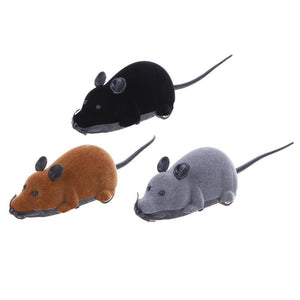 Remote Control Rat Toy for smart cat 🐀🐁🐈😼 - PupiPlace