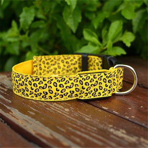 The leopard dog led collar 🐯🐶🔥 - PupiPlace