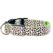 Cargar imagen en el visor de la galería, The leopard dog led collar 🐯🐶🔥 - PupiPlace