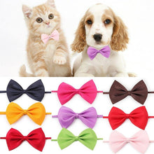 Charger l&#39;image dans la galerie, Colorful cat/dog bow ties for fashion pets 🐶🎀😻 - PupiPlace