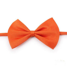 将图片加载到图库查看器，Colorful cat/dog bow ties for fashion pets 🐶🎀😻 - PupiPlace