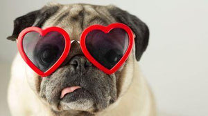 Fashion dog sunglasses shaped-heart 😍🐶💋 - PupiPlace